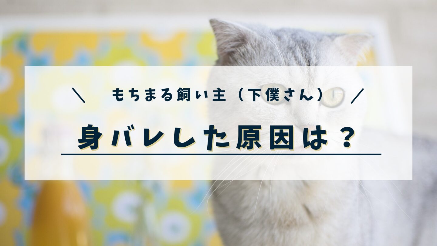 もちまるの飼い主(下僕さん)が身バレした原因は?仕事や彼女・結婚相手など調査した